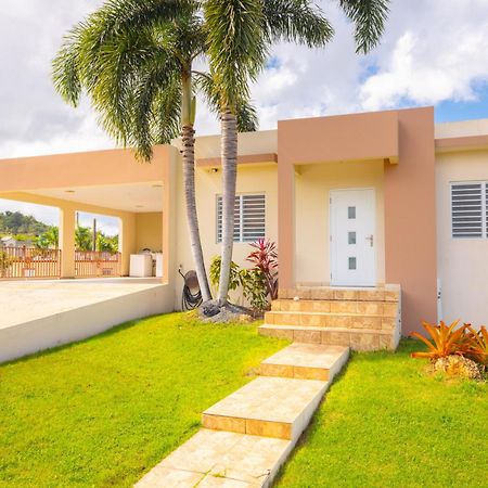 Arenales Vacational House Villa Isabela Eksteriør bilde